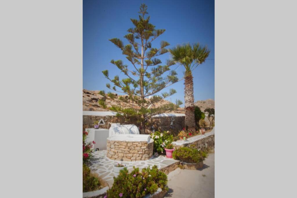 White Dreams Studio Mykonos Town Bagian luar foto